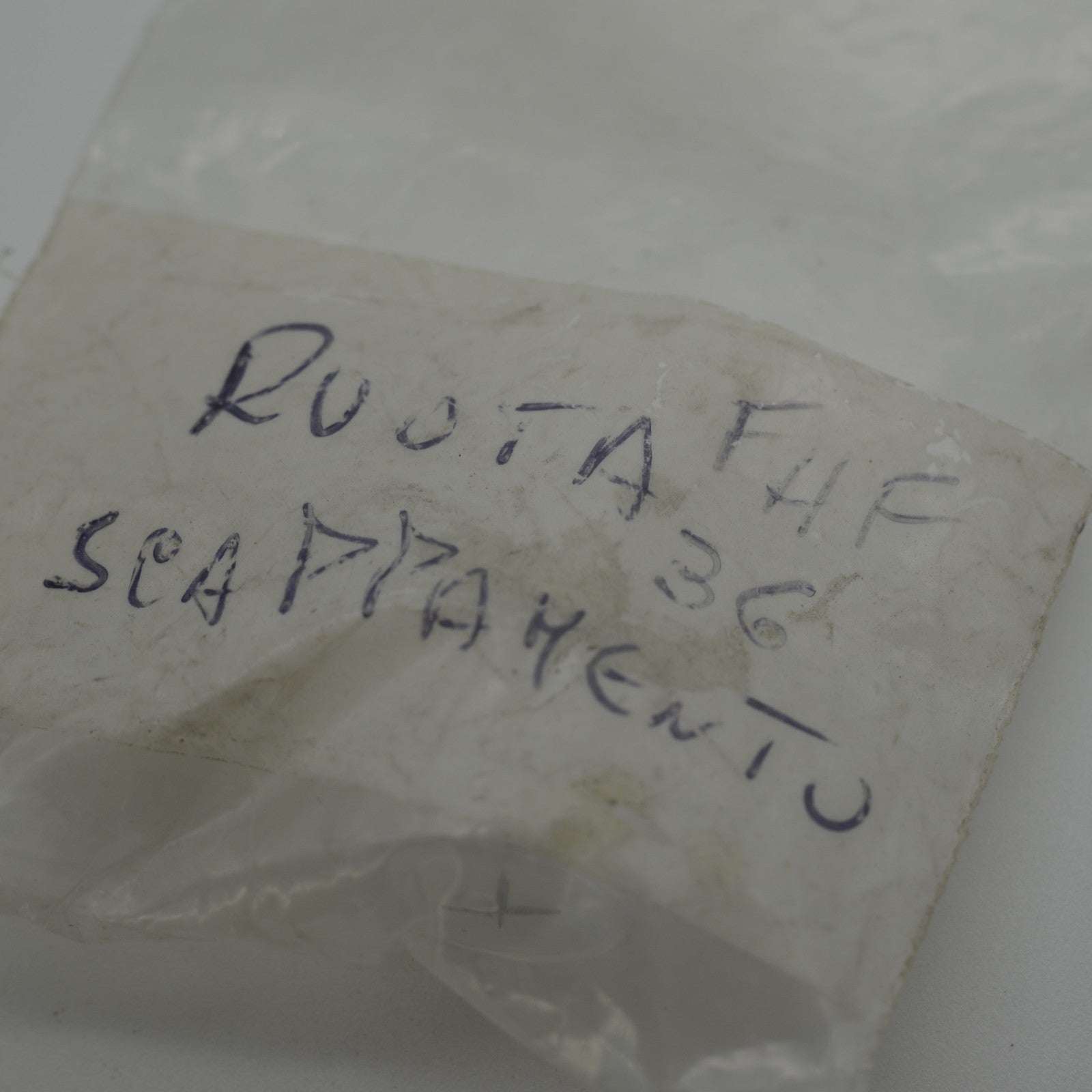 Ruota scappamento FHF 36 Escape Wheel