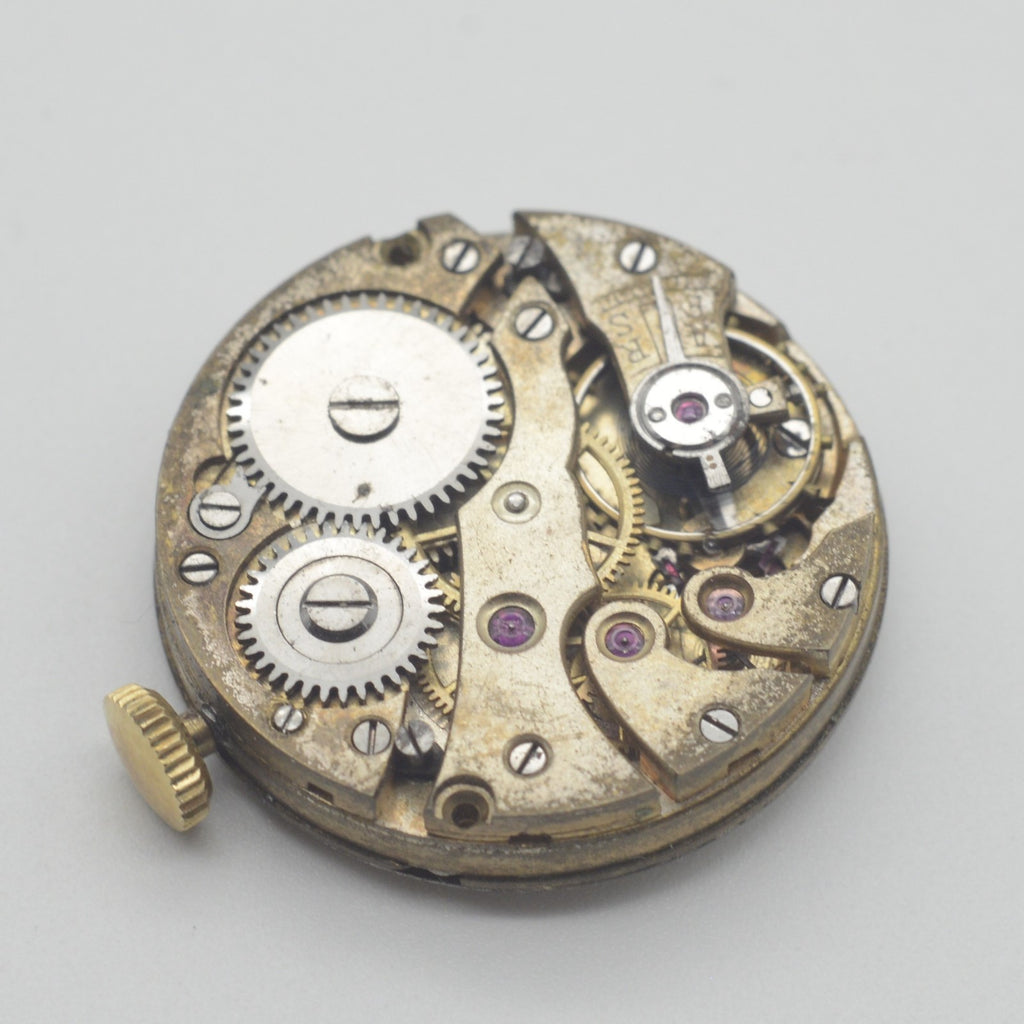 Movimento Movement Eberhard